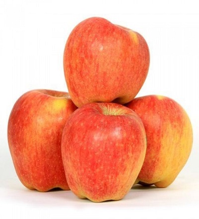 apple-shimla-premium